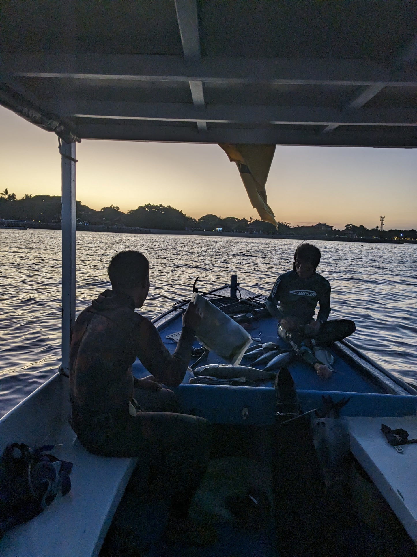 Spearfishing Session